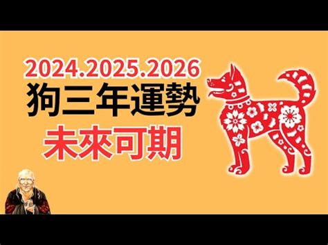 1982屬狗十年運勢|1982年屬狗運程 一生運勢好財運旺